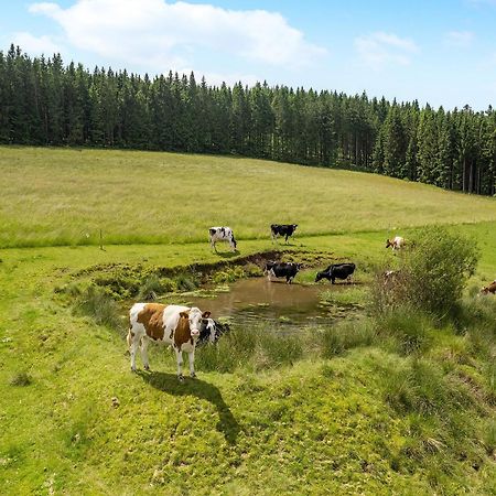 Ferienwohnung Duffner Schonach im Schwarzwald Екстер'єр фото
