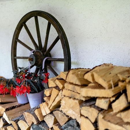 Ferienwohnung Duffner Schonach im Schwarzwald Екстер'єр фото