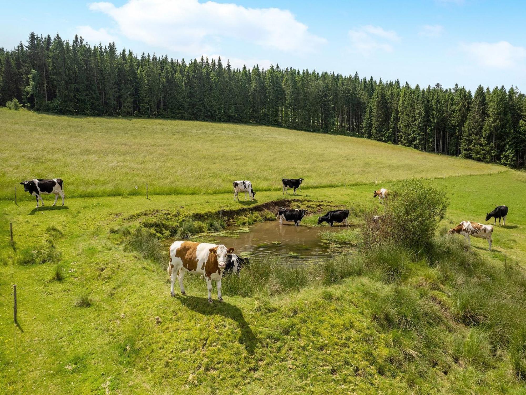 Ferienwohnung Duffner Schonach im Schwarzwald Екстер'єр фото