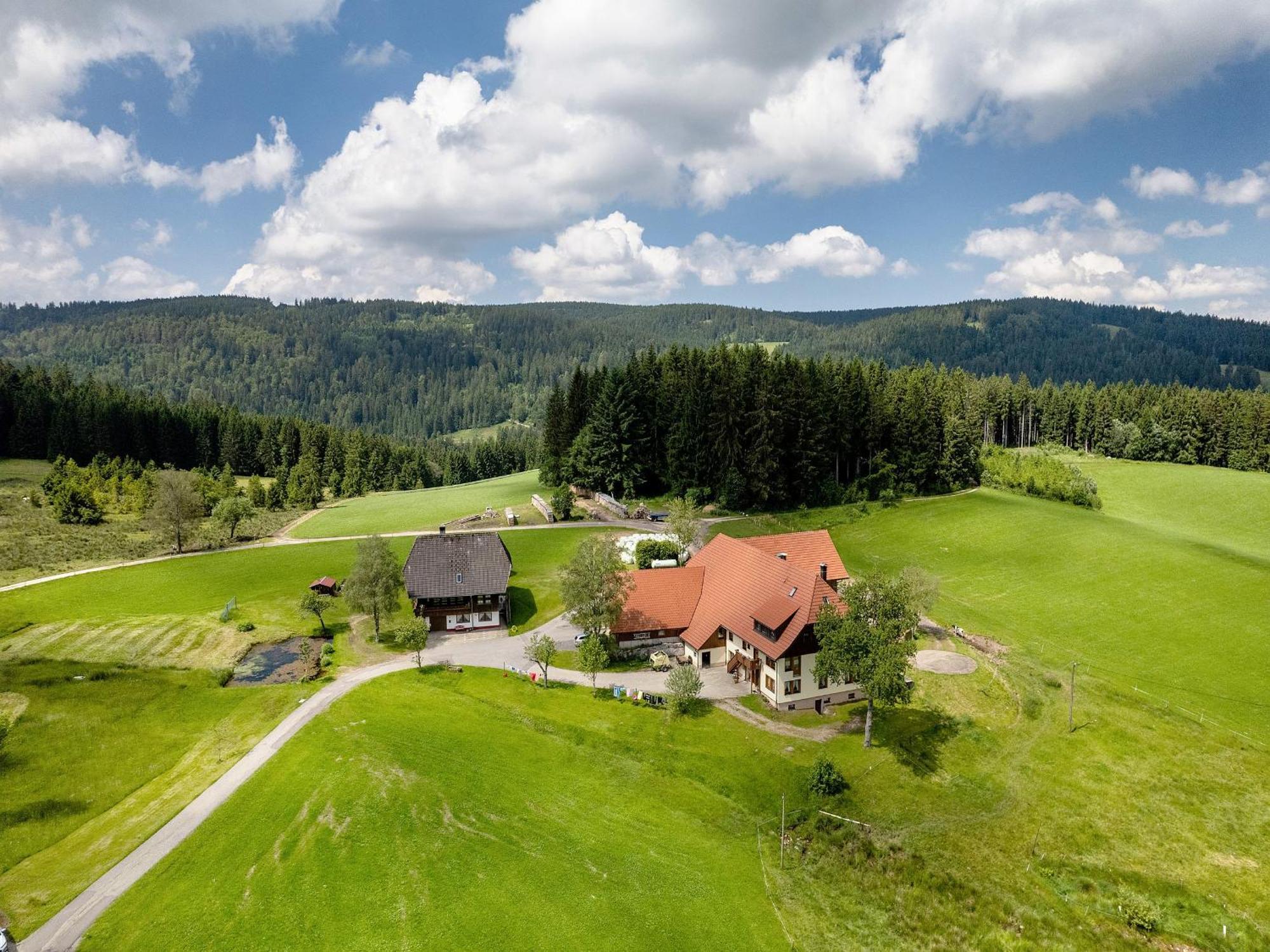 Ferienwohnung Duffner Schonach im Schwarzwald Екстер'єр фото