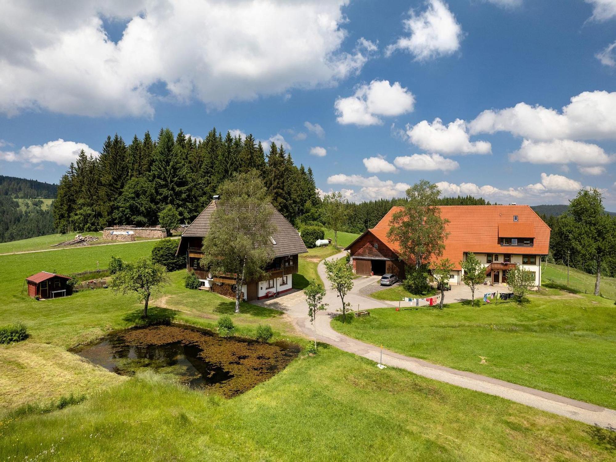 Ferienwohnung Duffner Schonach im Schwarzwald Екстер'єр фото
