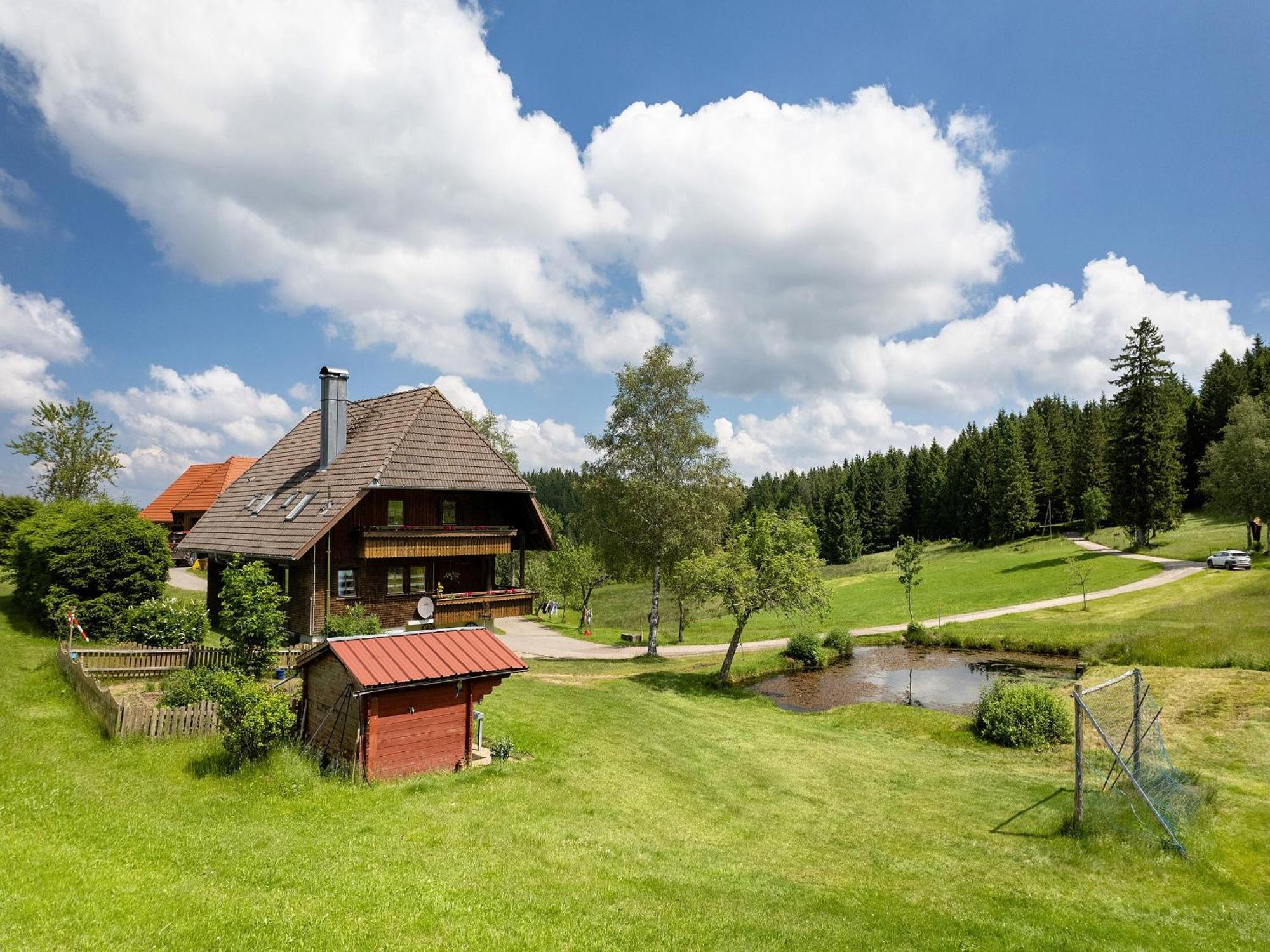 Ferienwohnung Duffner Schonach im Schwarzwald Екстер'єр фото